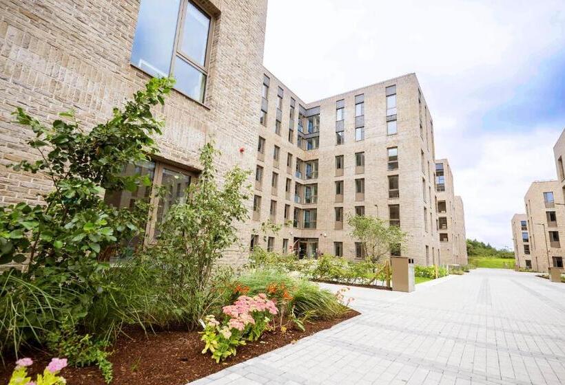 旅馆 University Of Galway Rooms