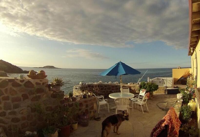 旅馆 La Bufadora Inn