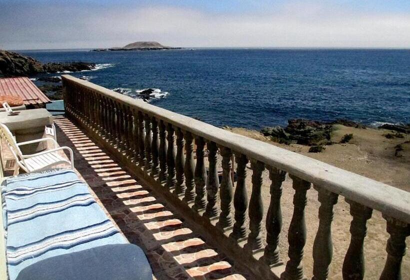 فندق صغير La Bufadora Inn