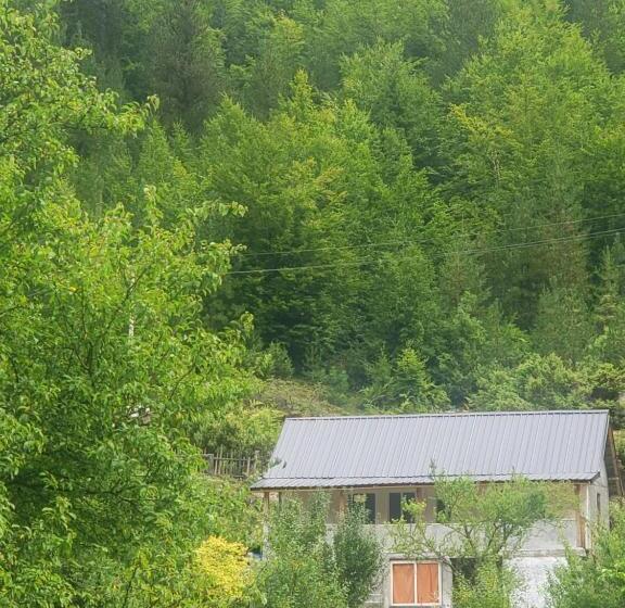 تختخواب و صبحانه Guesthouse Artani