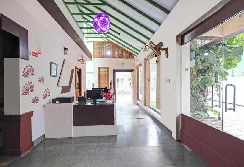 Collection O 81198 Maqintosh Hotel Thekkady