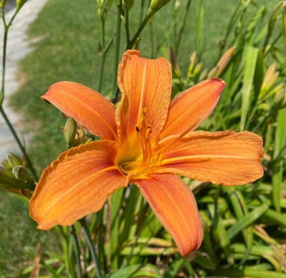 בית מלון כפרי Albergo Rifugio Cainallo