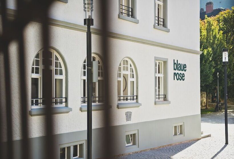 酒店 Blaue Rose Digital Check In