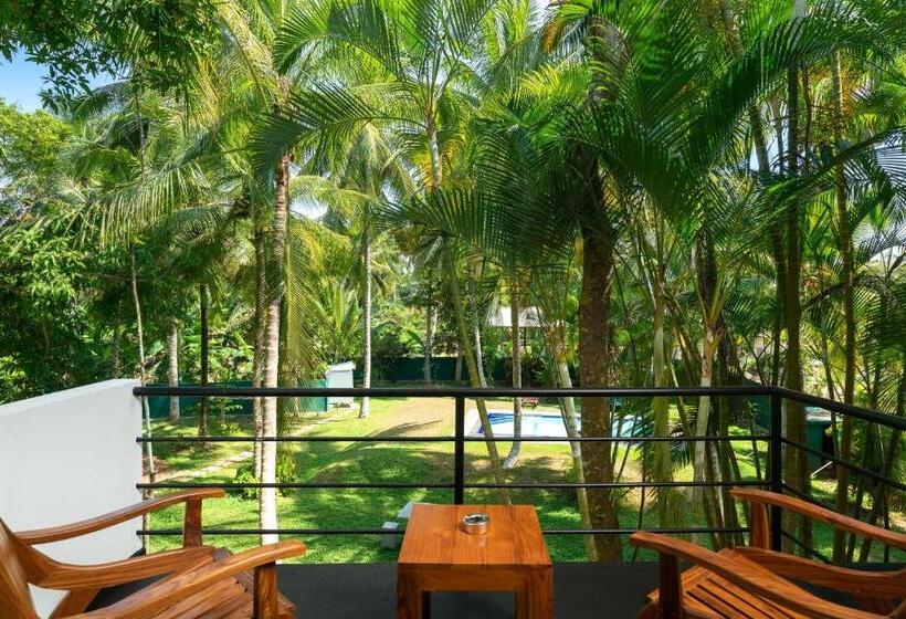 Отель Blue Whales