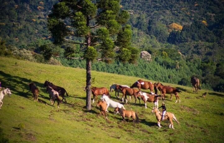 فندق Capivari Ecoresort Residence