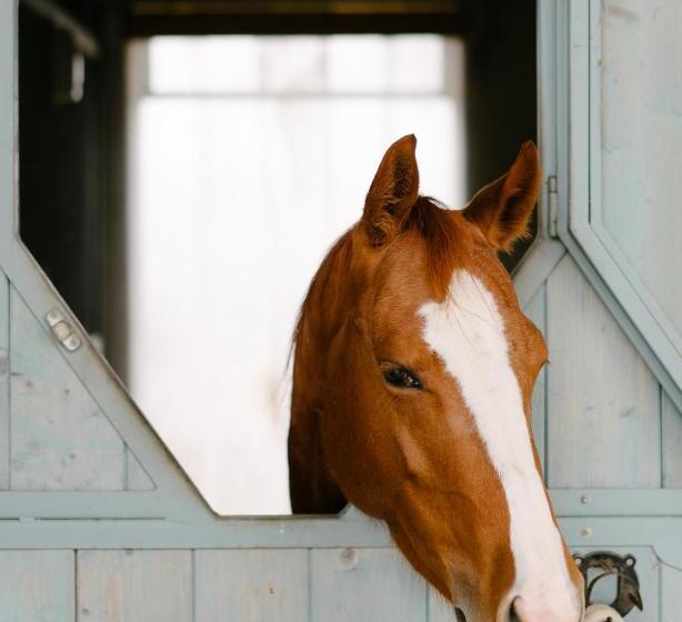 호텔 Casa Saba Ospitalità Con Vista