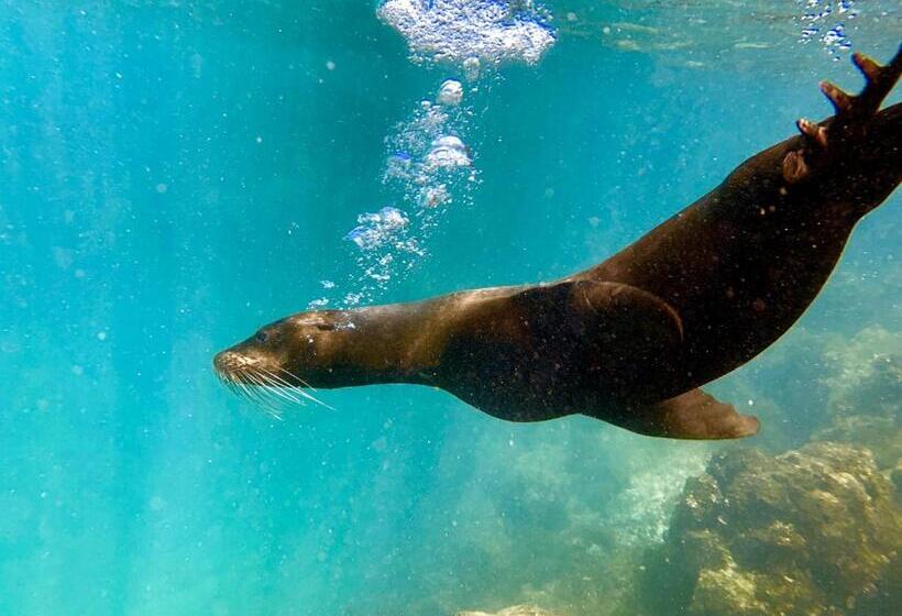 בית מלון כפרי Hostal Sierra Negra By Ohana Tours