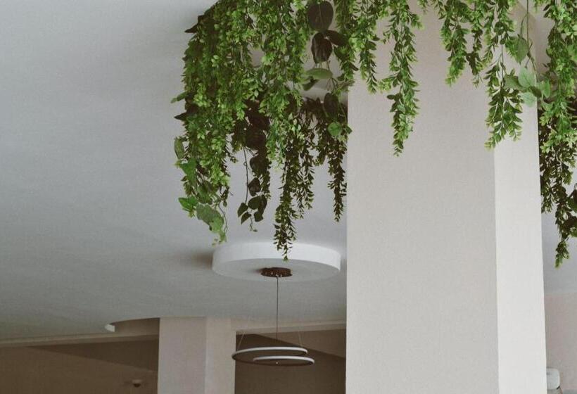 Отель Hvh By Yaxché