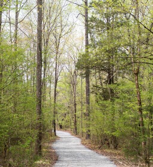 Отель Juneberry Ridge