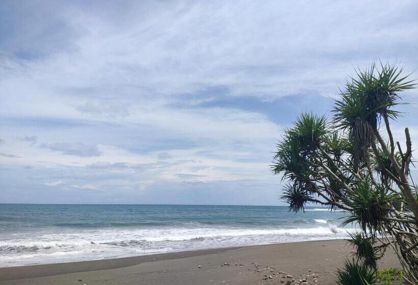 ホテル Kirai House Pantai Madasari Beach Front View