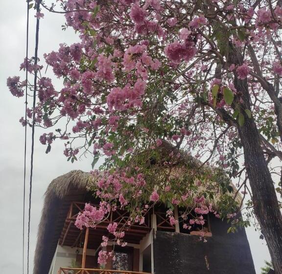 בית מלון כפרי Lapu