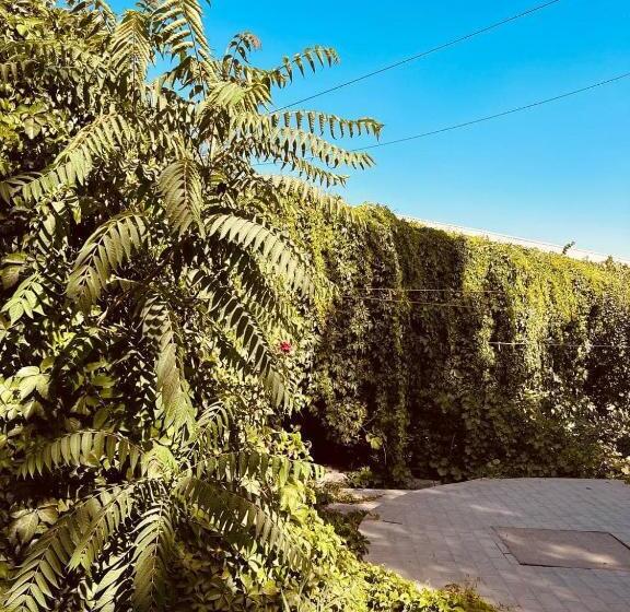 فندق Shaxerezada Boutique