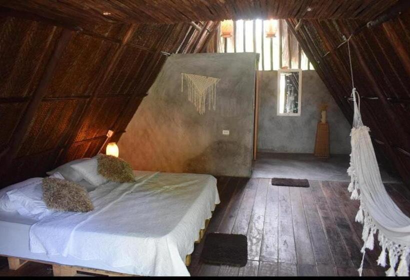 Отель Sierra Mamey