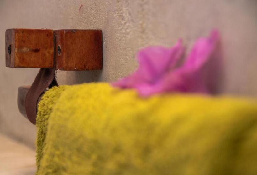 فندق The Wishing Tree