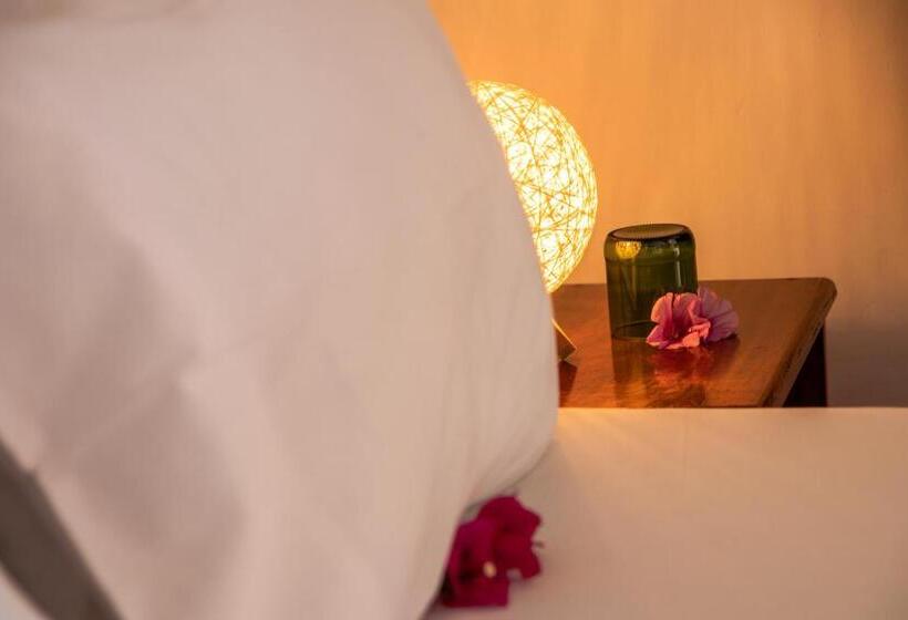 فندق The Wishing Tree