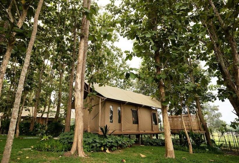 בית מלון כפרי Visama Mae Chan