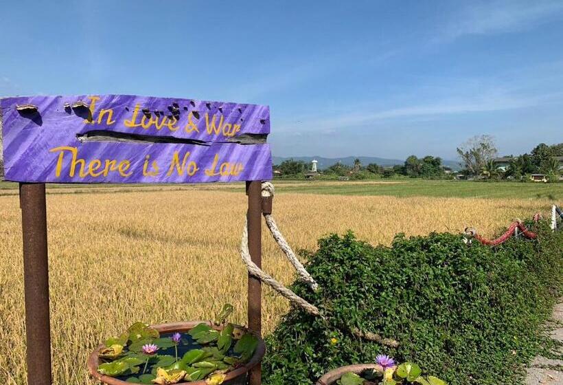 酒店 Warp To Nature