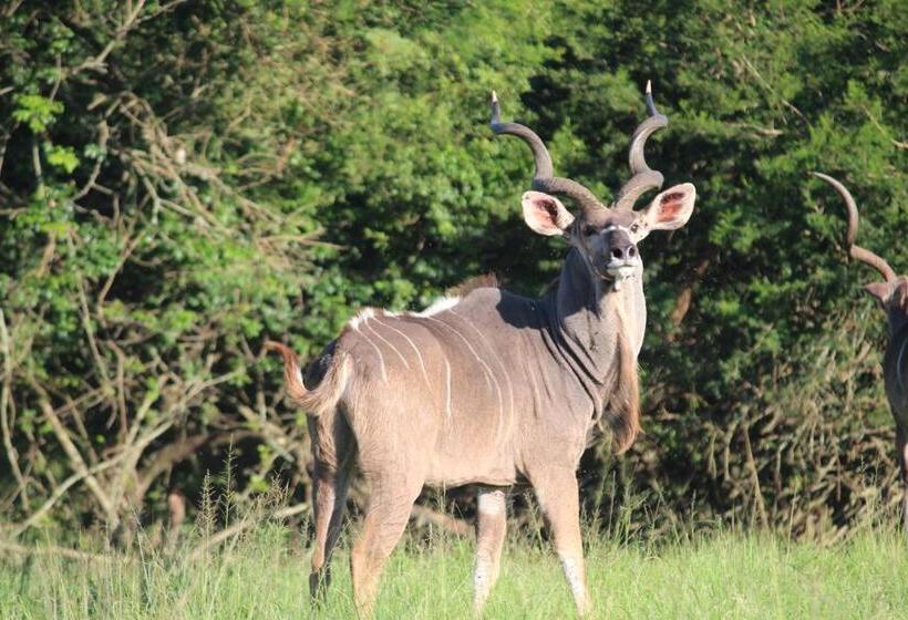 ペンション Barnside Guest House
