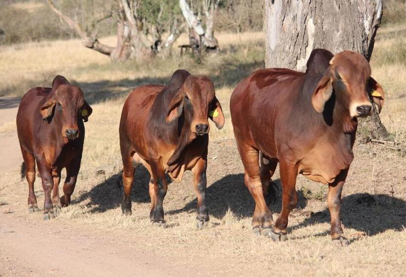 ペンション Barnside Guest House