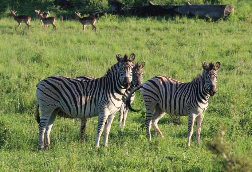 ペンション Barnside Guest House