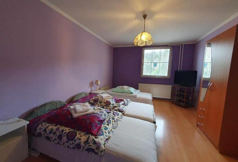 بنسيون Egervári Béres Vendégház  Középső Apartman