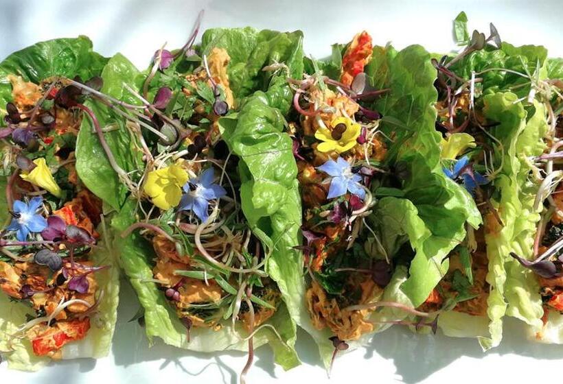 膳宿费 Finca Verde De La Luz