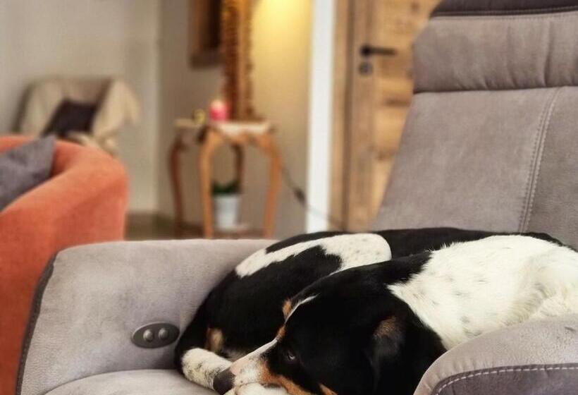 פנסיון Charmante Maison D Hôtes à Ventron   Calme, Randonnées Et Convivialité   Fr 1 589 543