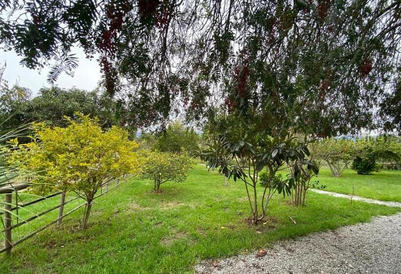 بنسيون Quinta Paolita   Habitación Doble