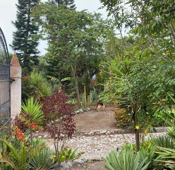 بنسيون Quinta Paolita   Habitación Doble