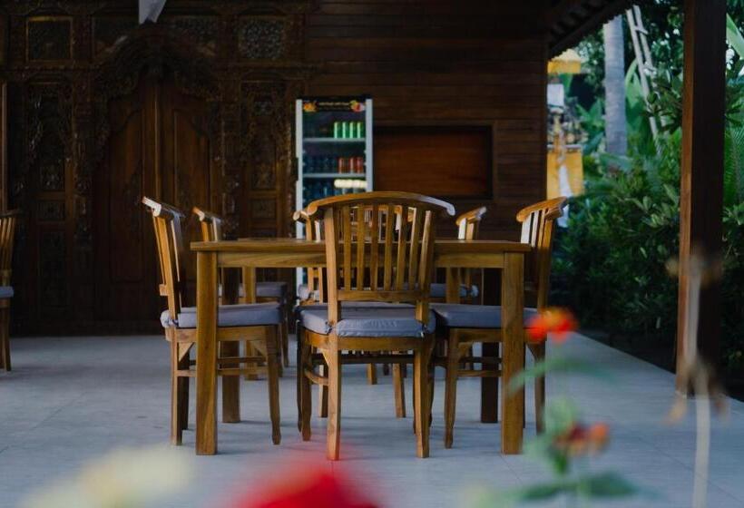 פנסיון Sunset Star Huts