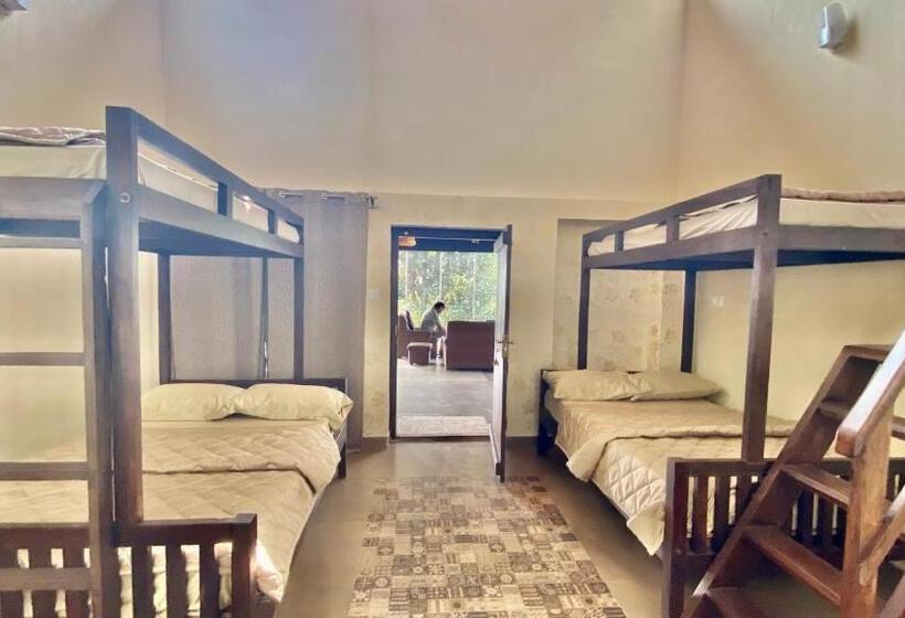 Пансион Willostays Villa Tranquil De Susanj