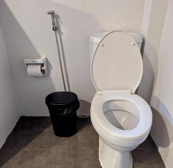 리조트 Ziggy Stardust