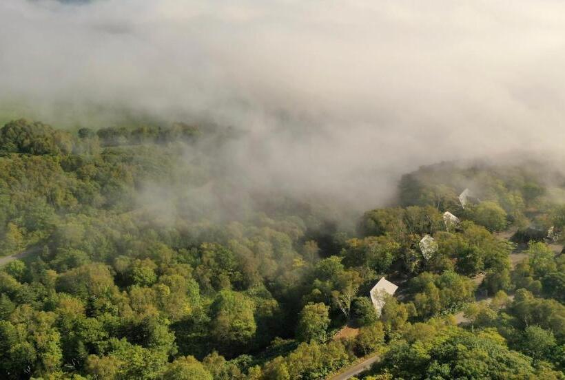 ריוקאן Shiguchi