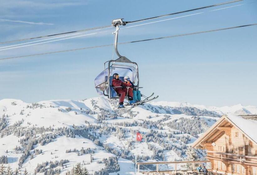 Общежитие Berghaus Horneggli