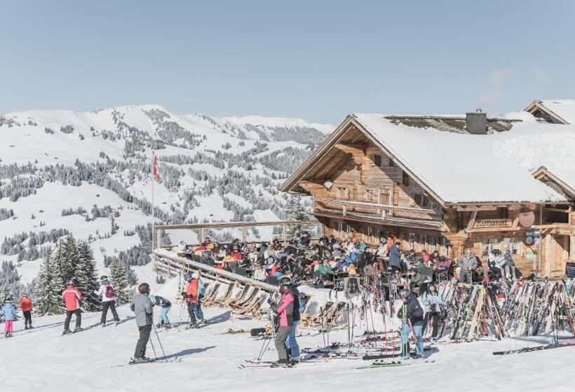 Общежитие Berghaus Horneggli