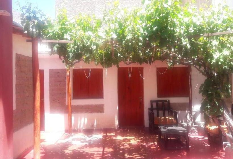 Общежитие Hostal Mamacoca