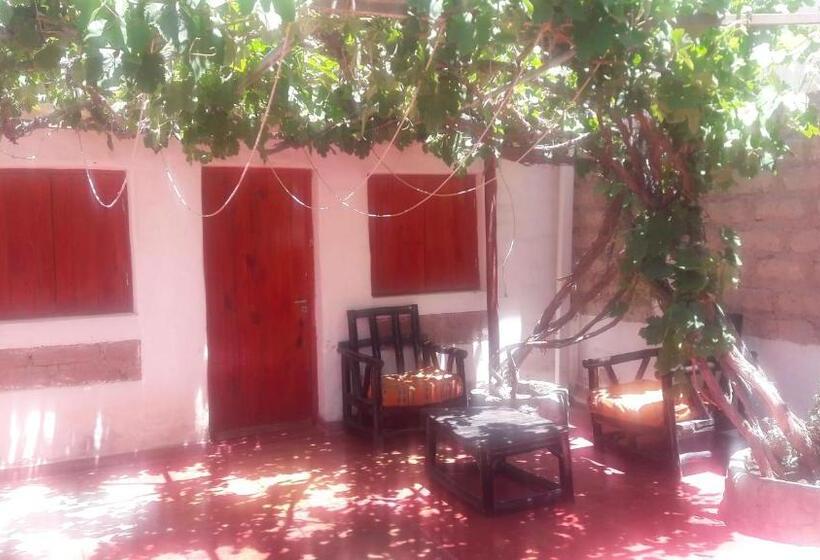 Общежитие Hostal Mamacoca