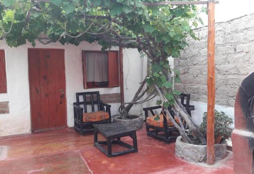 Общежитие Hostal Mamacoca