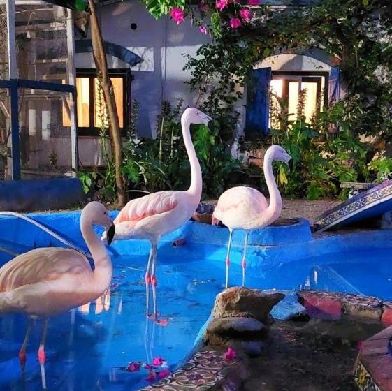 هاستل La Posada Del Sol