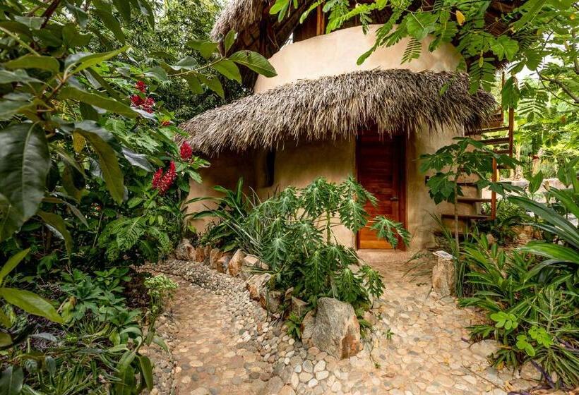 تختخواب و صبحانه Barbarenas