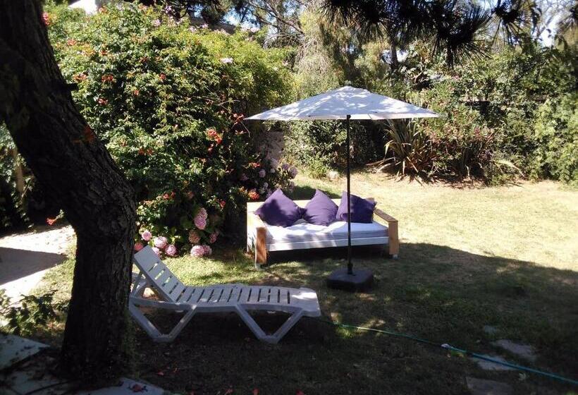 צימר Bed And Breaksfast