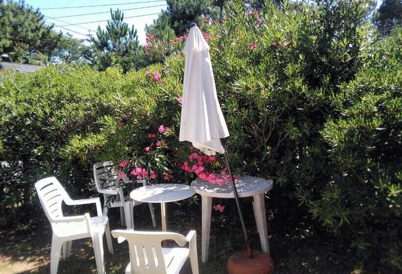 צימר Bed And Breaksfast