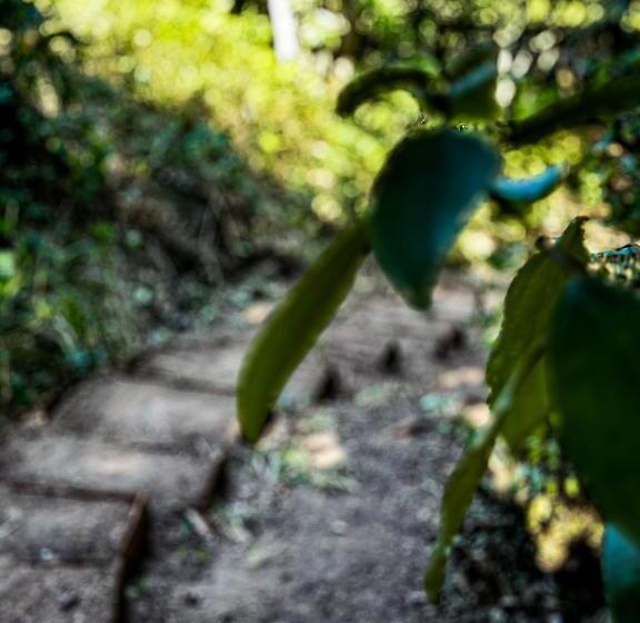 צימר Casa Corazon San Pancho Nayarit