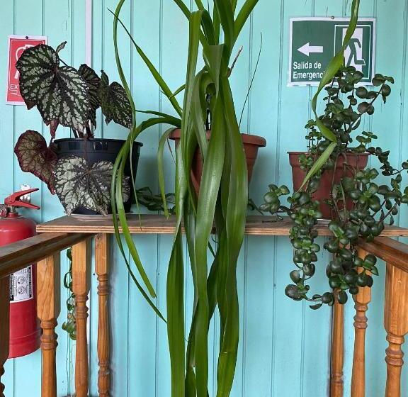 Bed and Breakfast Hostería Ensenada