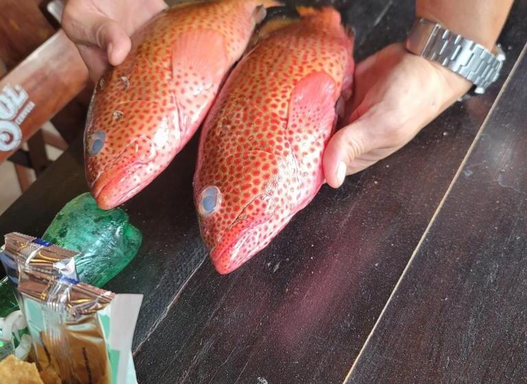 住宿加早餐  Stanza Mare Luna 180m Ferrys Isla Mujeres