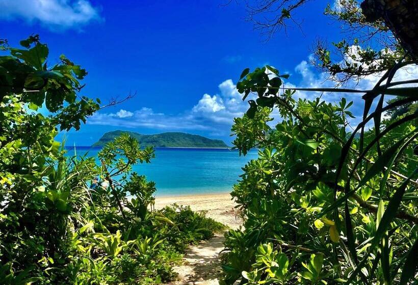 Отель 杜屋 西表島