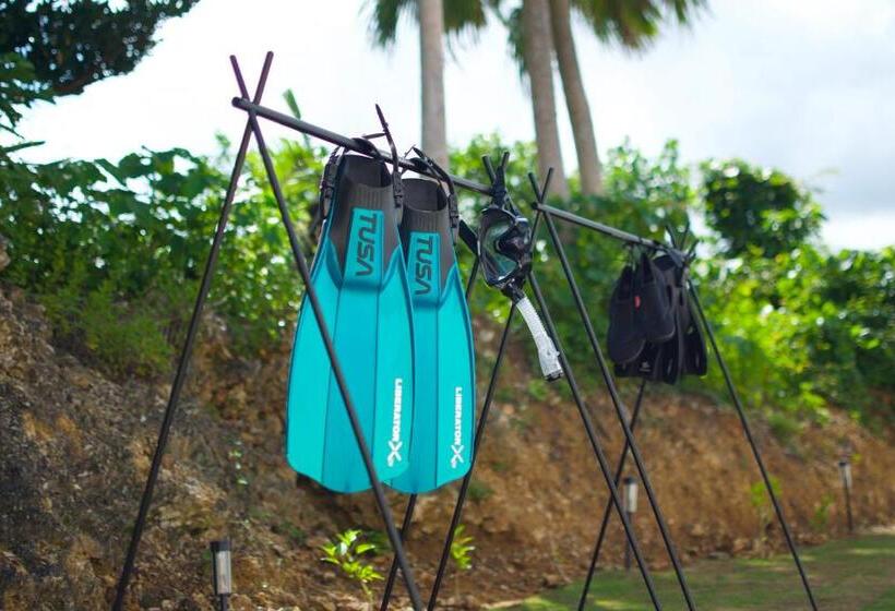 Отель 杜屋 西表島