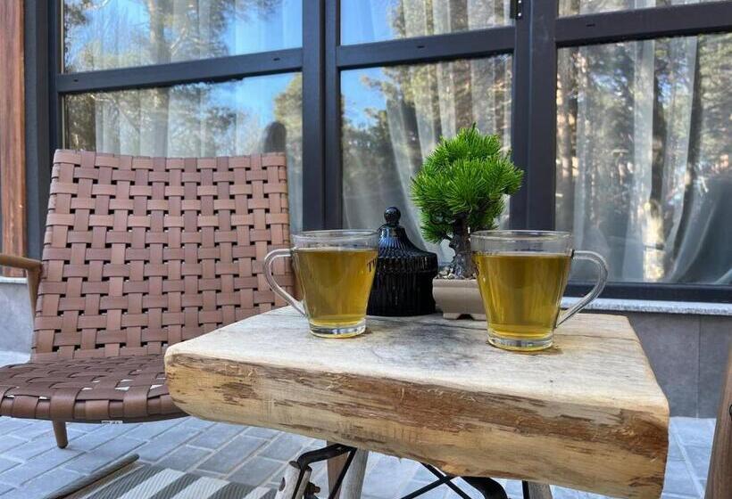 בית מלון כפרי Forest View