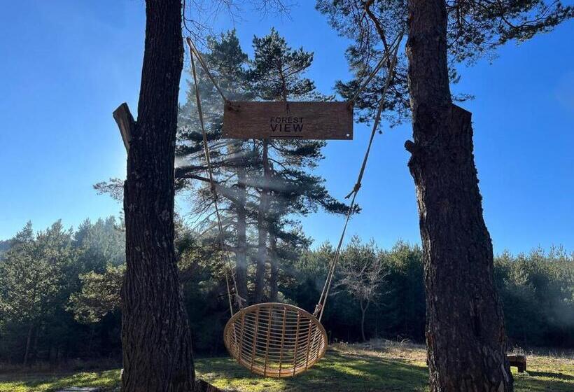 בית מלון כפרי Forest View