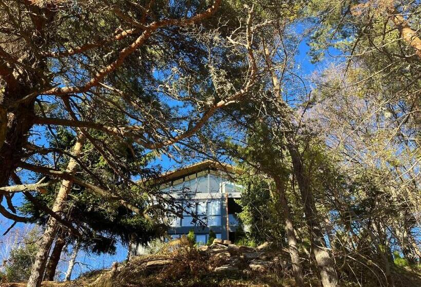 בית מלון כפרי Forest View